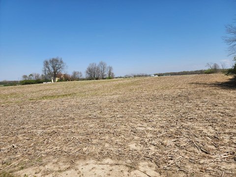 97 Acres Residential Development Opportunity