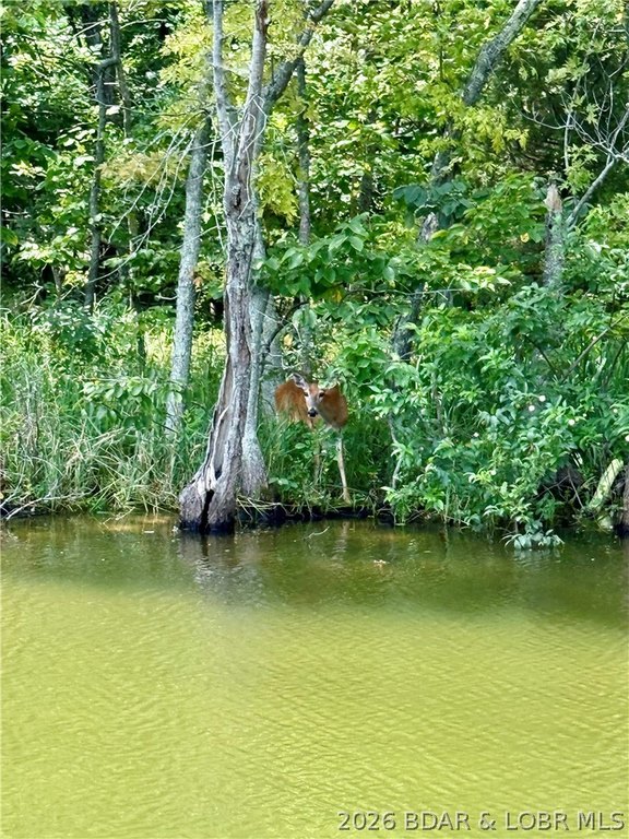 Picture 16