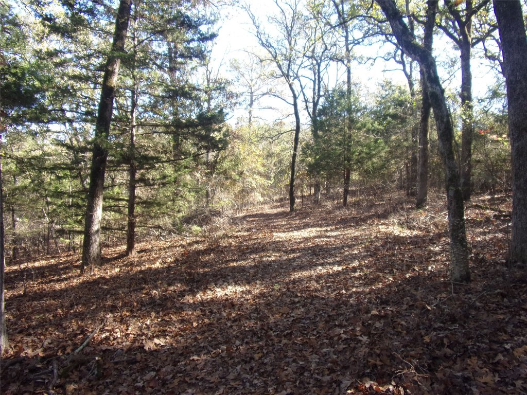 Picture 8