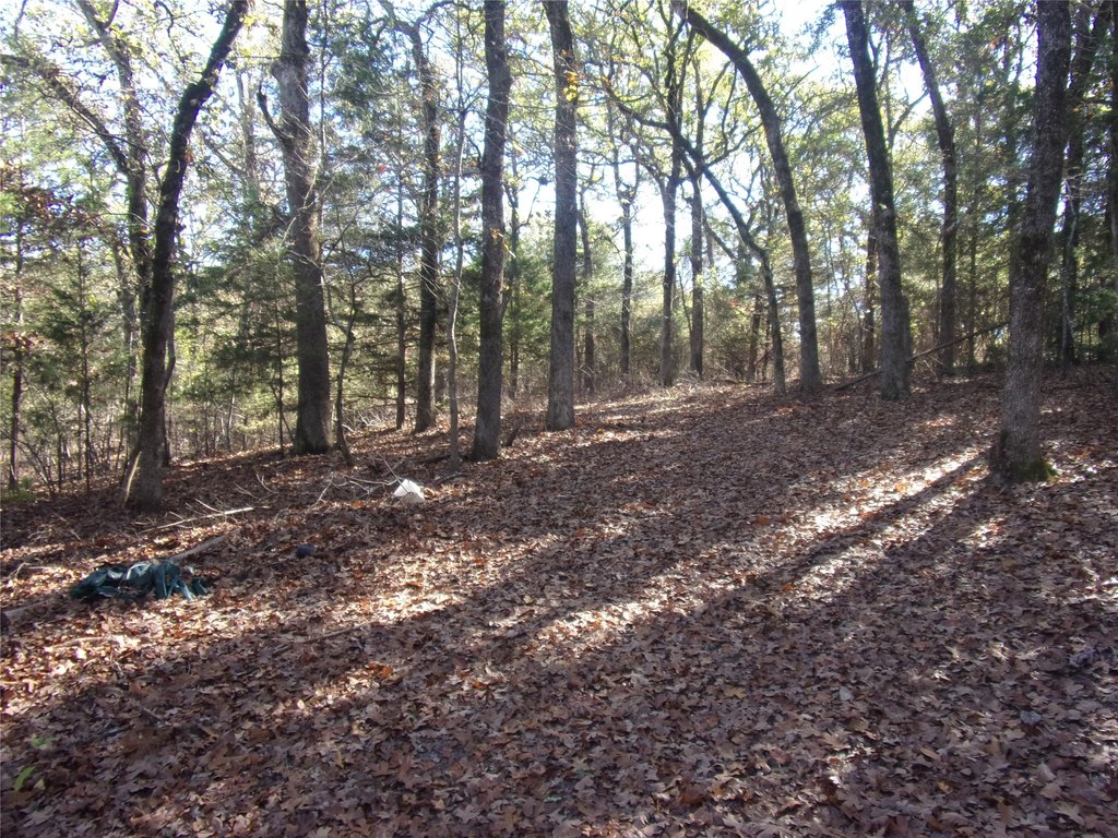 Picture 7