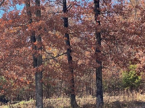 Residential Lot in Tahlequah, OK