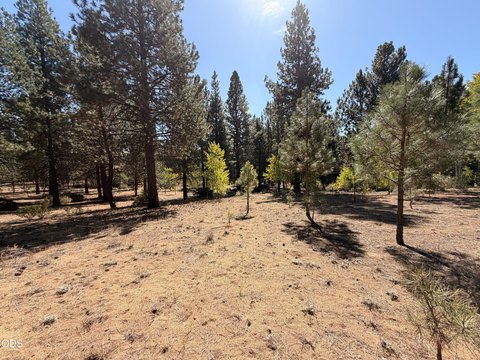 Land, Chiloquin, OR