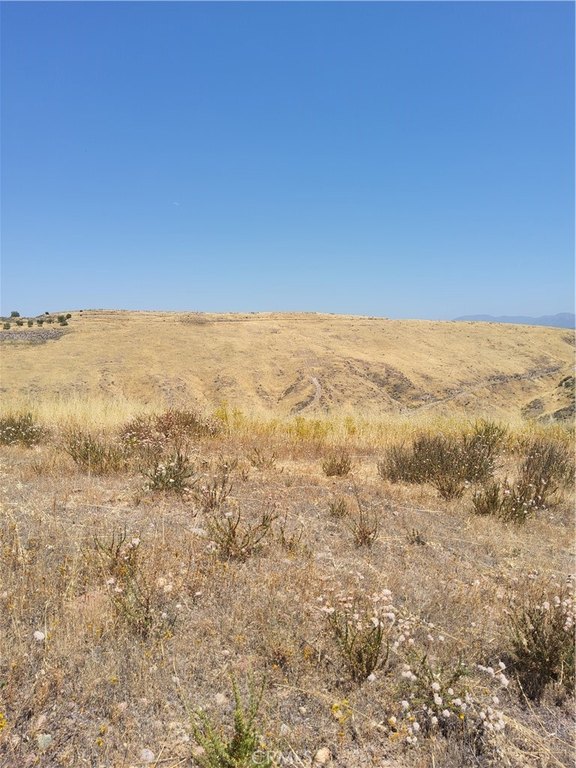 Picture 19