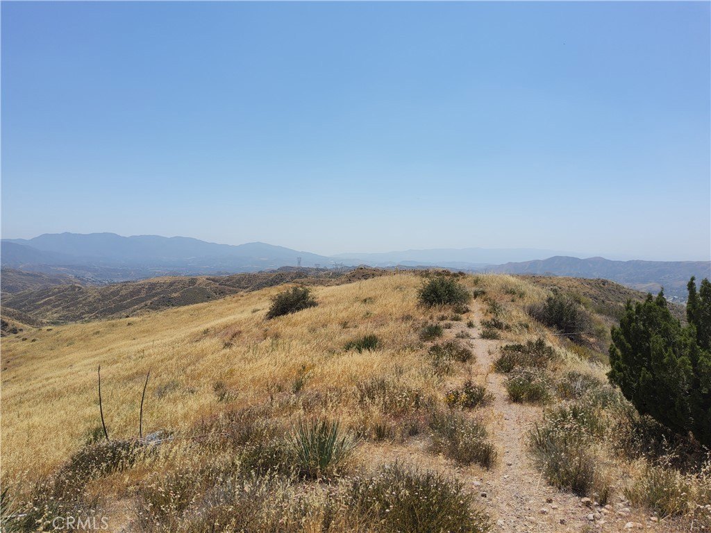 Picture 10