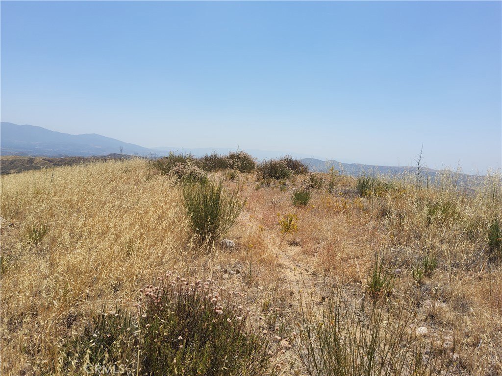 Picture 21