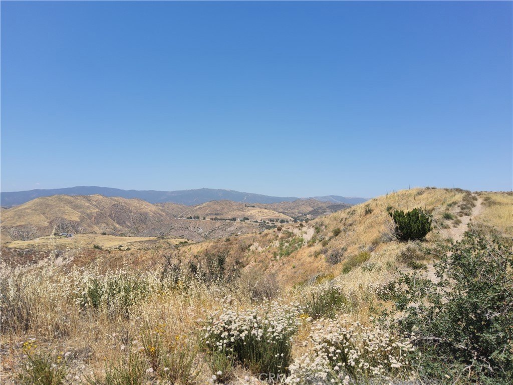 Picture 24