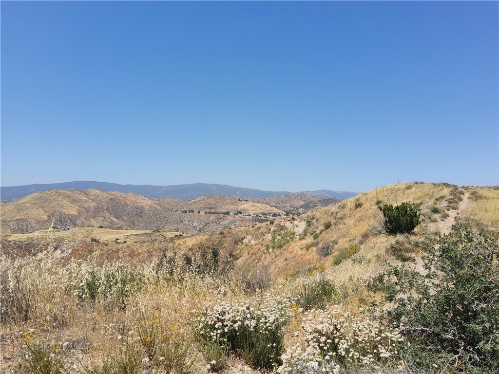 Picture 24