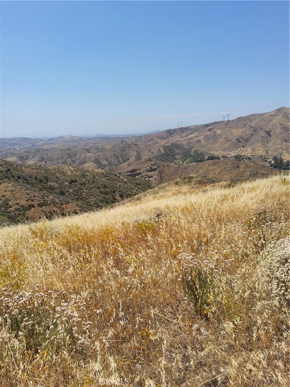 Picture 16
