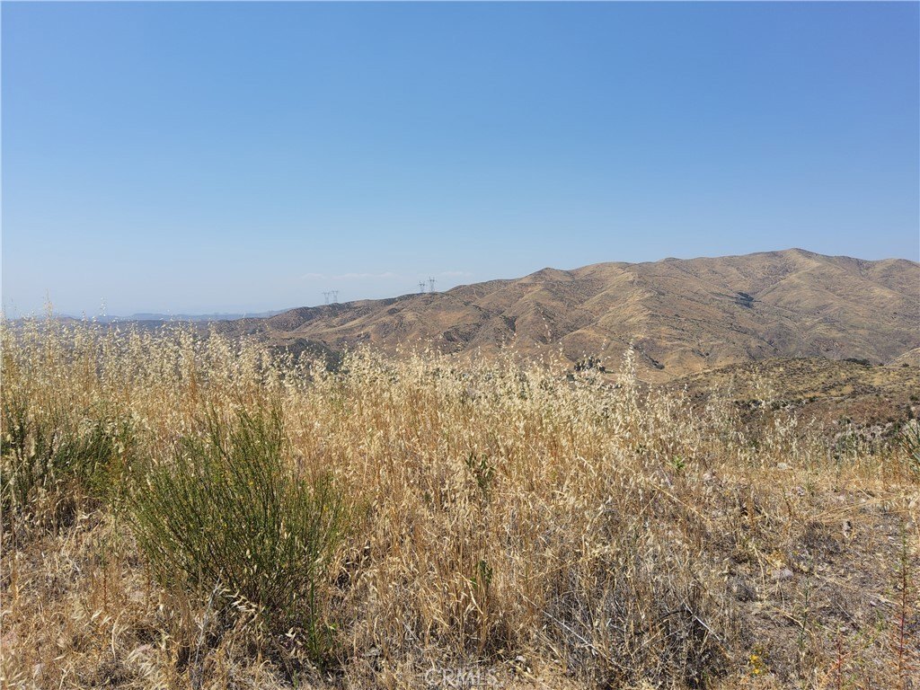 Picture 22