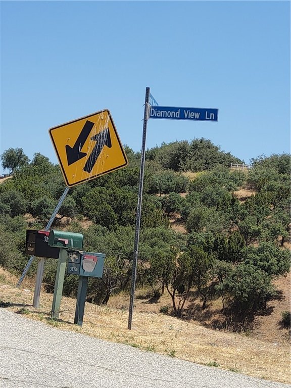 Picture 25