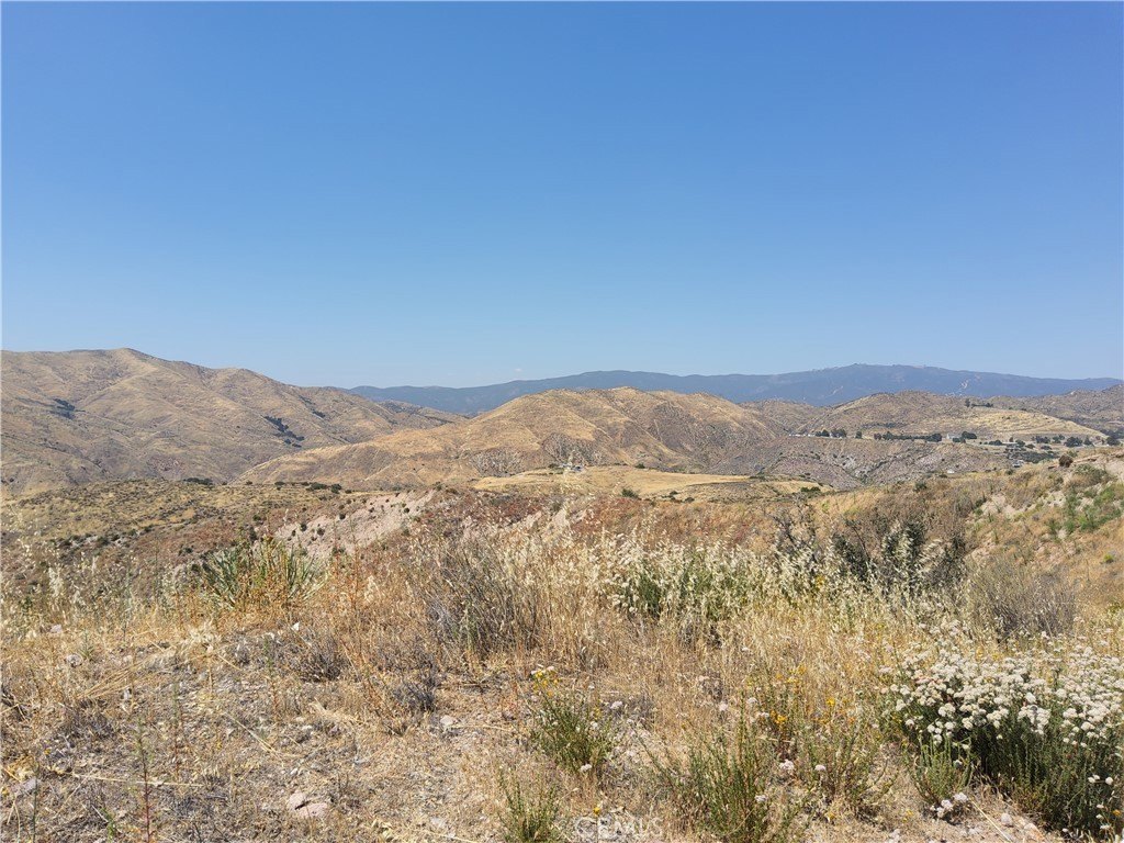 Picture 23
