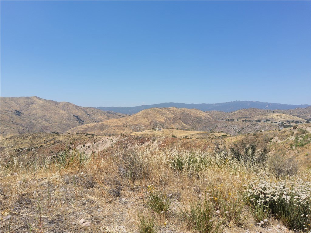 Picture 23