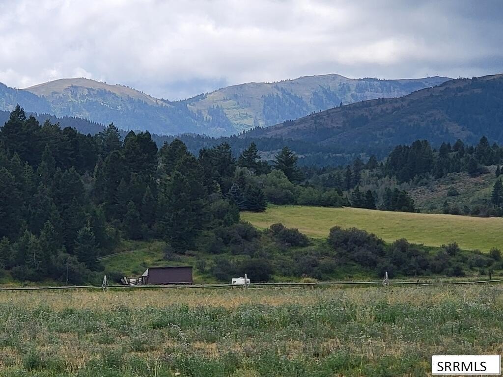 Picture 9
