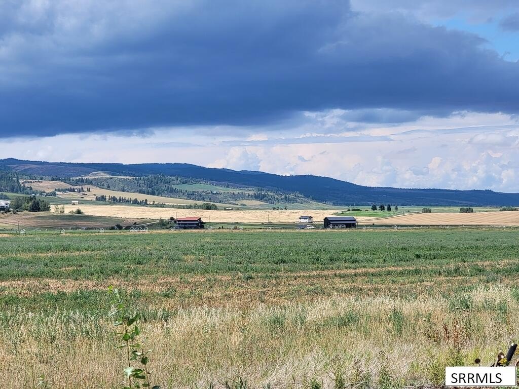 Picture 23