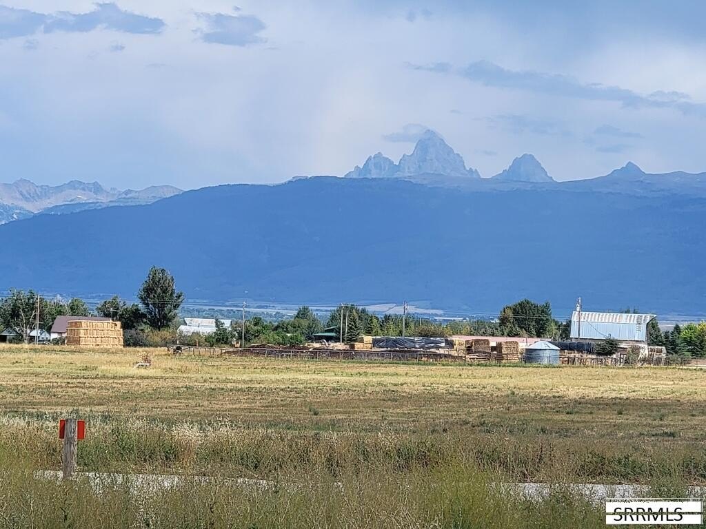 Picture 27