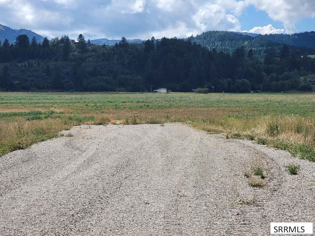 Picture 25