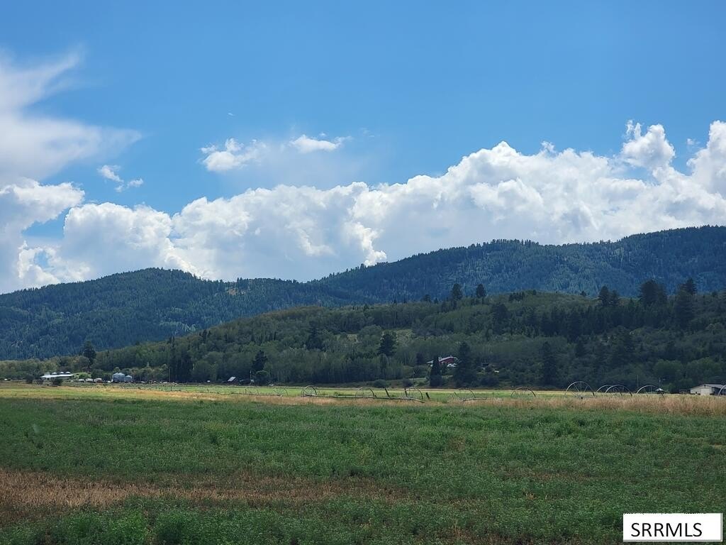 Picture 16