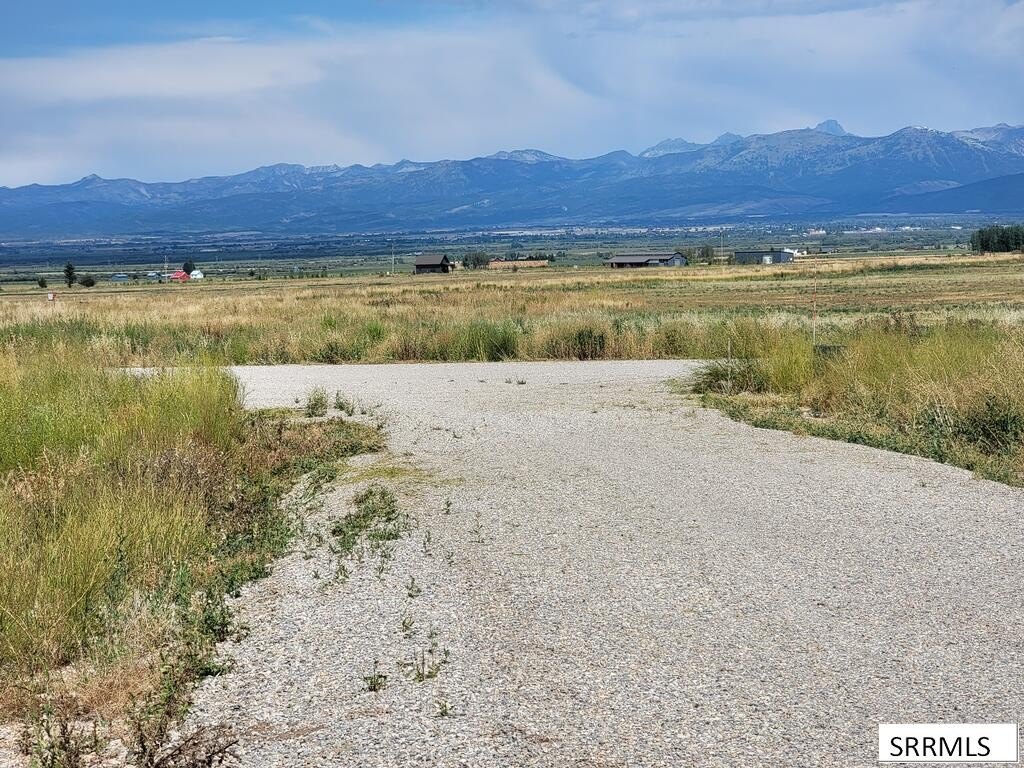 Picture 26