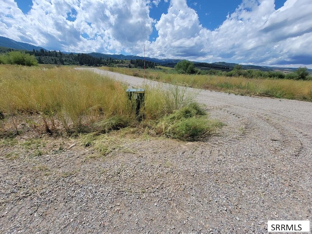 Picture 29