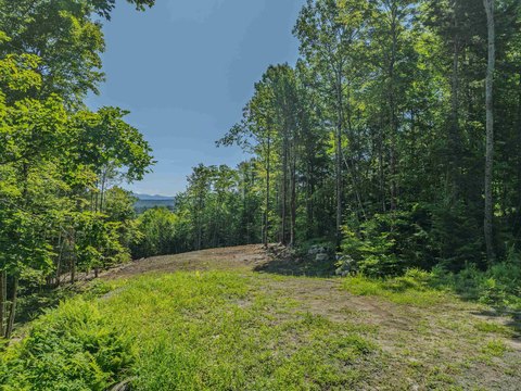 Land, Littleton, NH