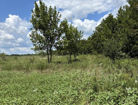 Vacant Land in Caddo, OK