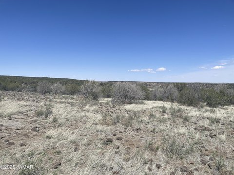 2.39 Acres in Sitgreaves Ranch