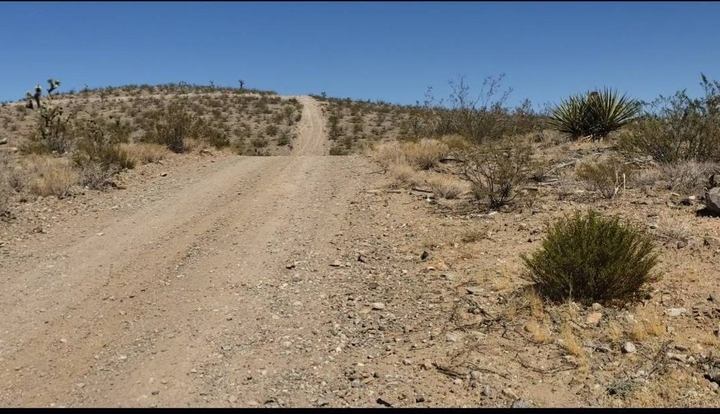 Picture 3