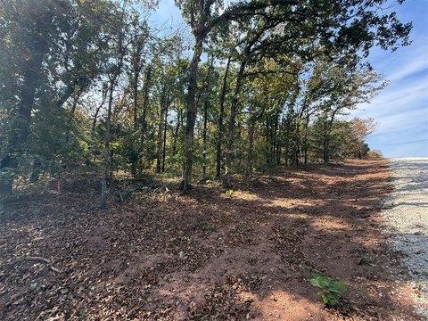 Acreage for Dream Home in Noble