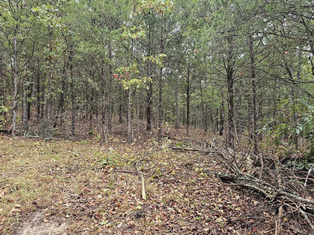 Picture 14