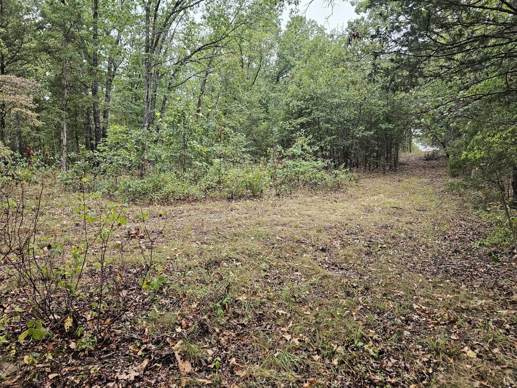 Picture 2