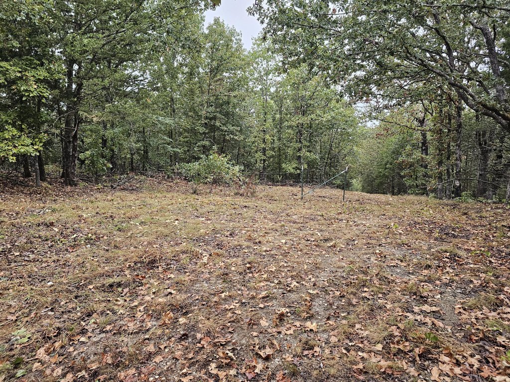 Picture 15