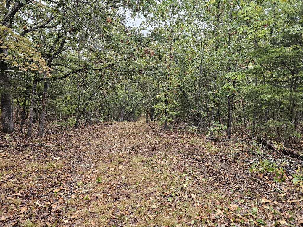 Picture 19