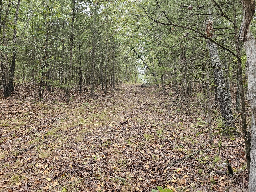 Picture 9