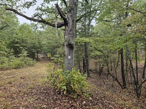 Land, Bradleyville, MO