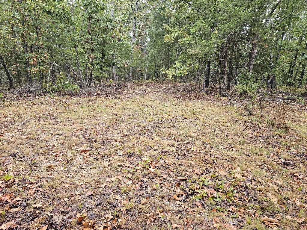 Picture 17