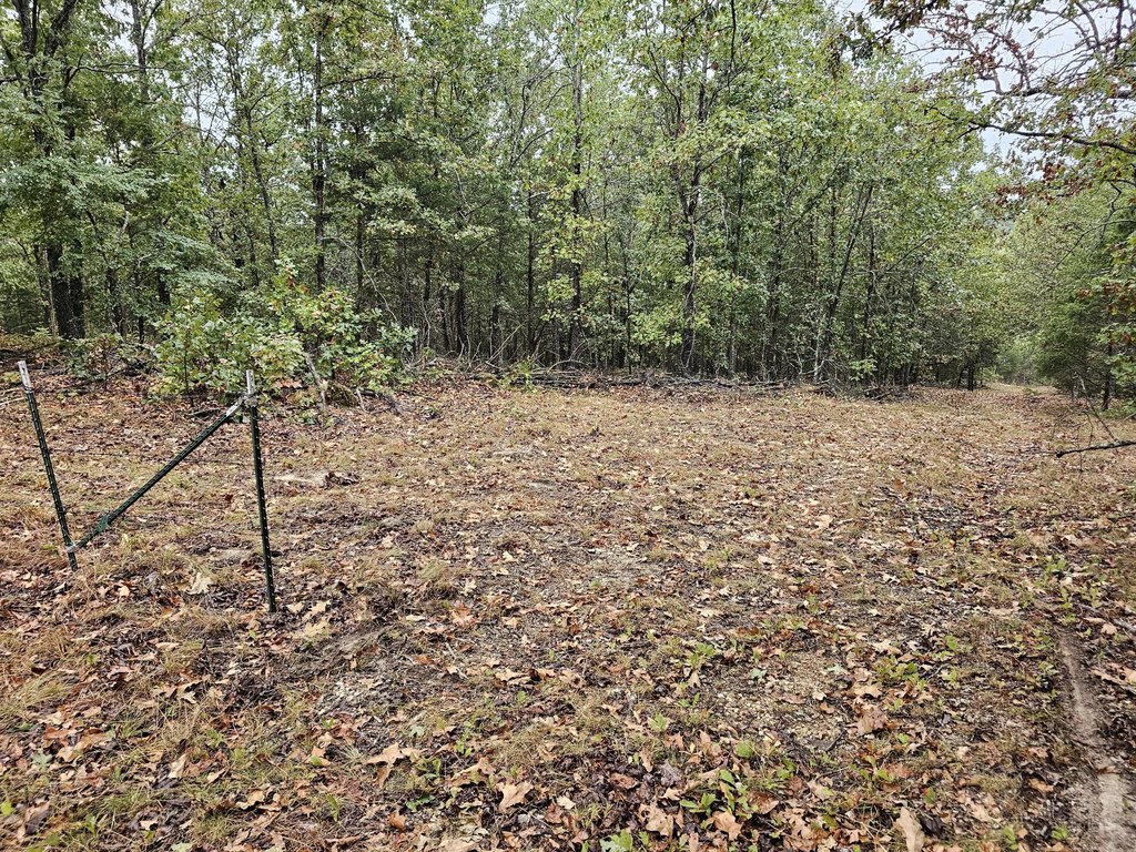 Picture 18