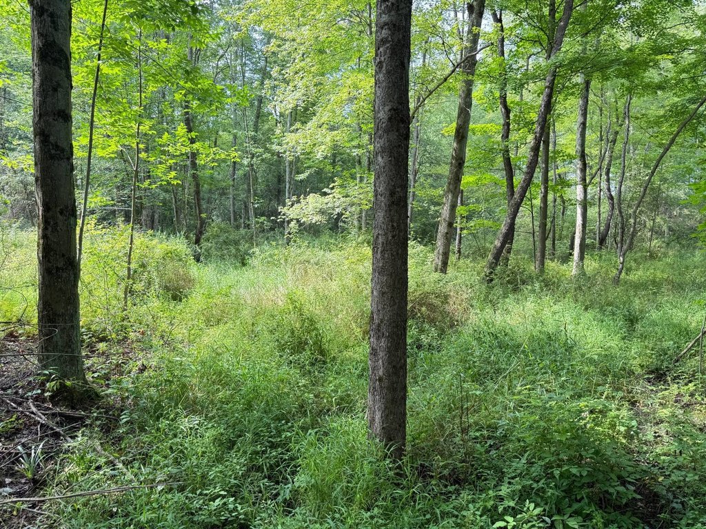 Picture 17