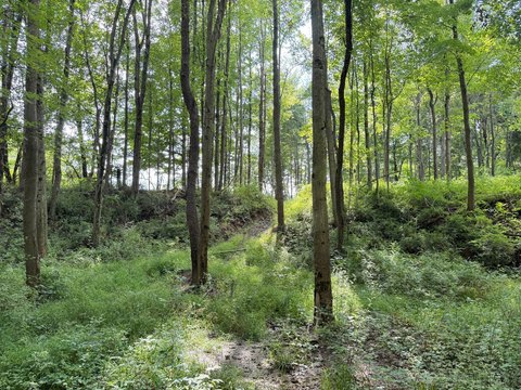 LAND - Conneautville, PA