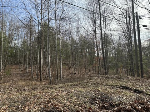 Wooded Lots in Alderson, WV