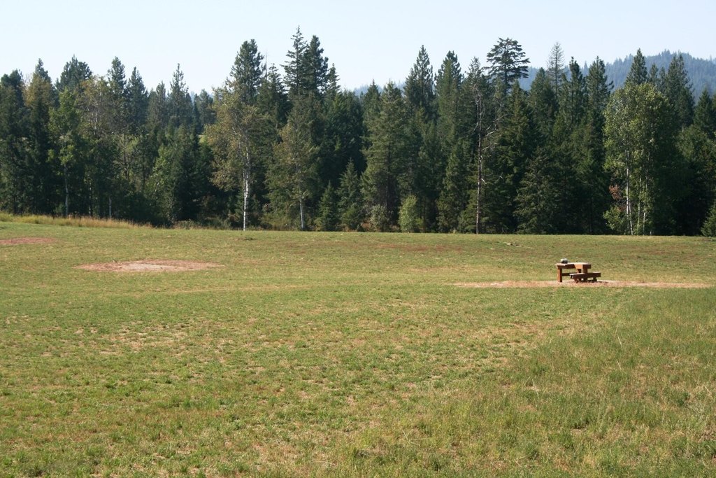 Picture 7