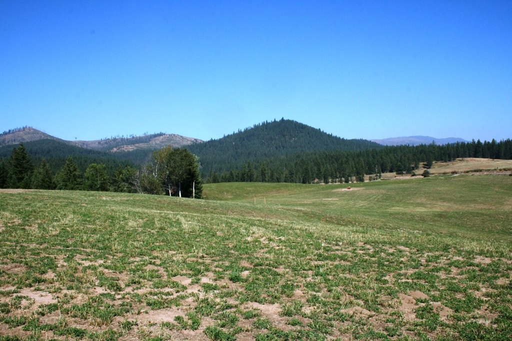 Picture 22