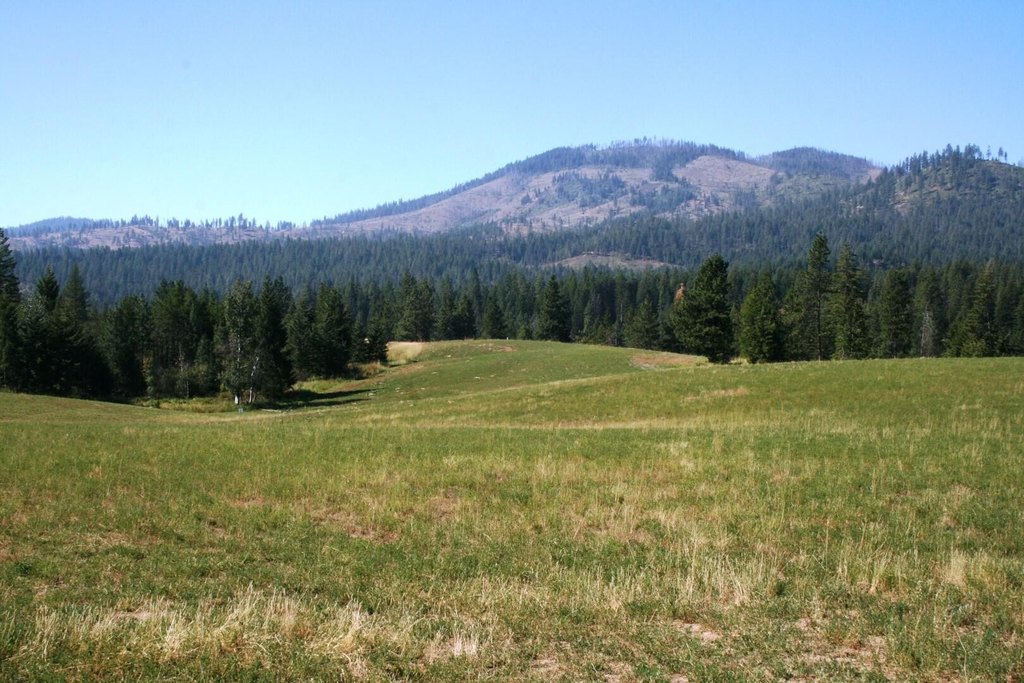Picture 9