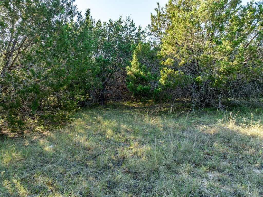 Picture 20