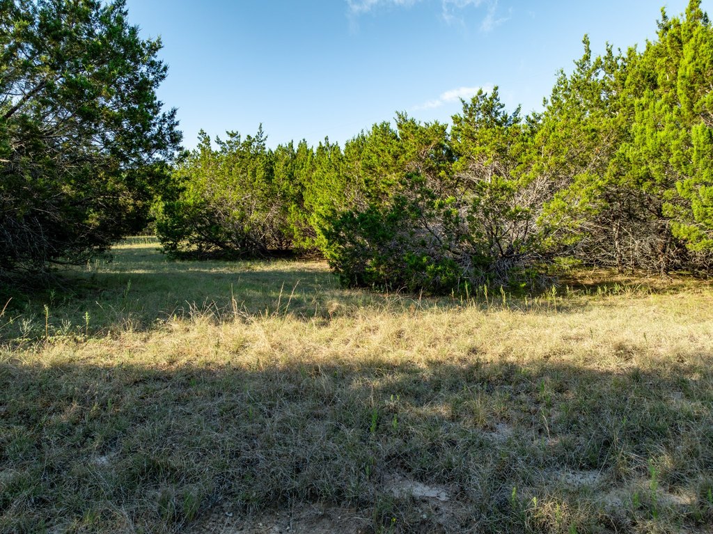 Picture 21