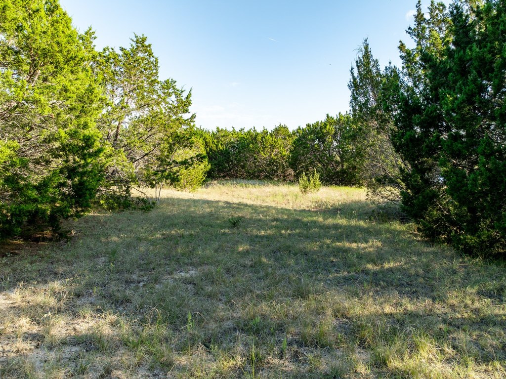 Picture 19