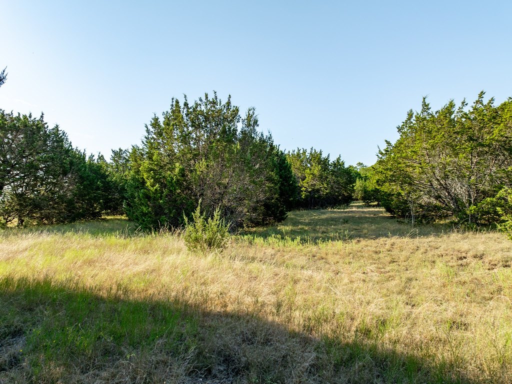 Picture 23
