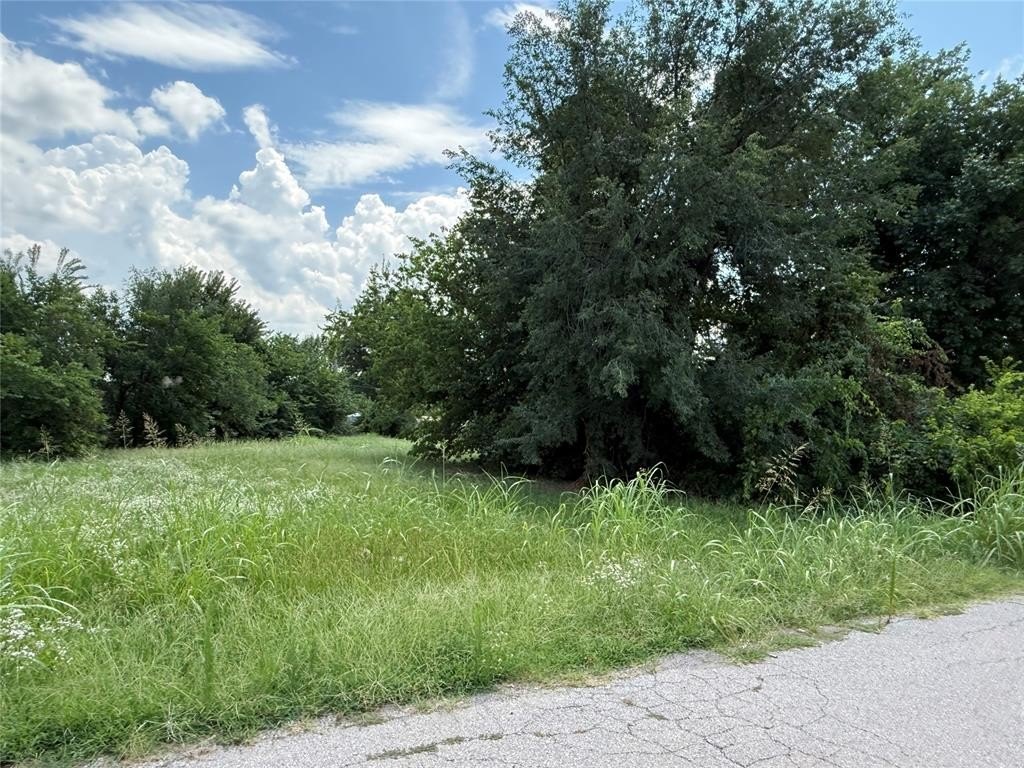 Picture 5