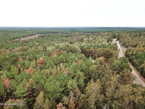 5.75 Acres in Louin, MS