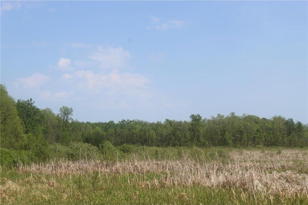 Picture 13