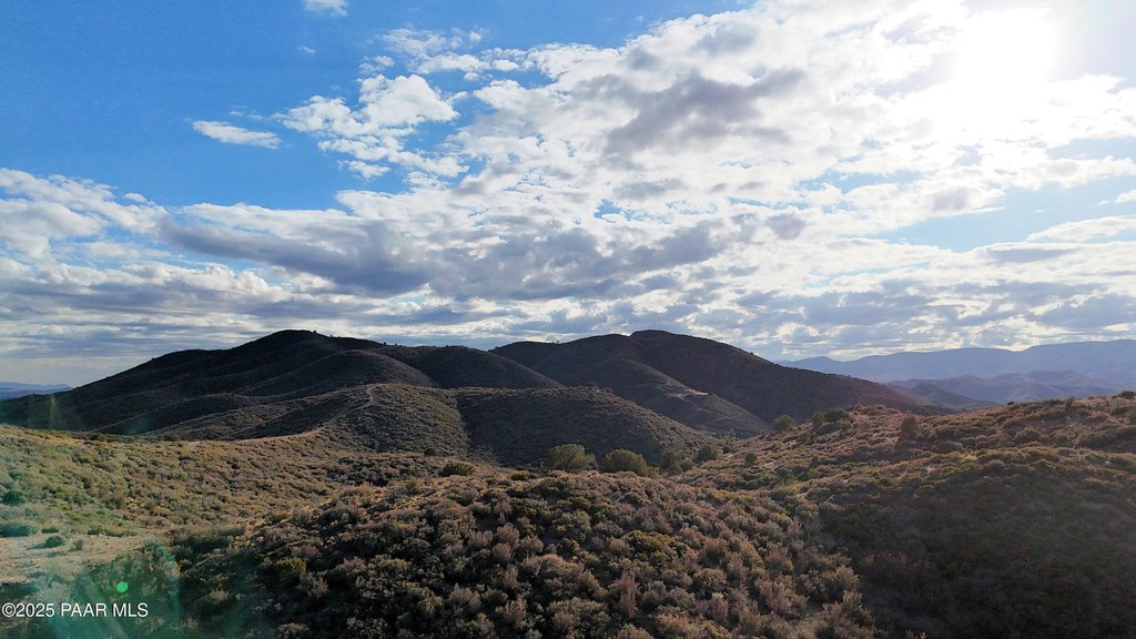 Picture 49
